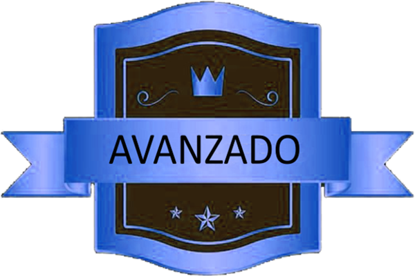 2.plan-restaurante-avanzado-600x400