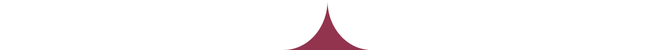 Vector2